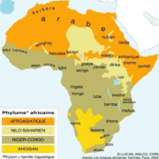 Langues parlée en Afrique