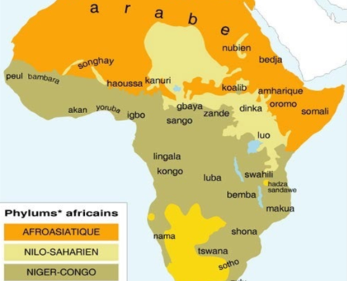 Langues parlée en Afrique
