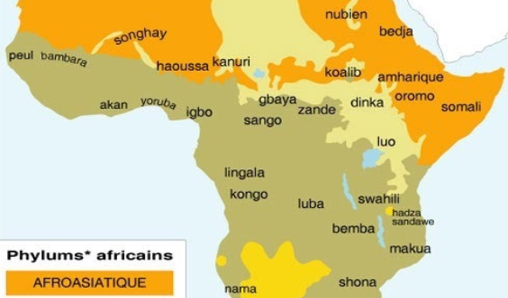 Langues parlée en Afrique